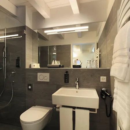 Charme Al Torchio 3* Ascona