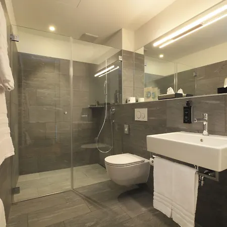 Charme Al Torchio 3* Ascona